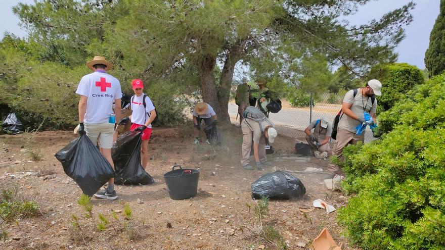 Eliminan unos 350 kilos de residuos del Área Biológica Crítica de Magaluf