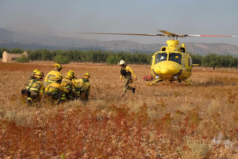 Declarado un incendio en una zona de barranco de Beneixama