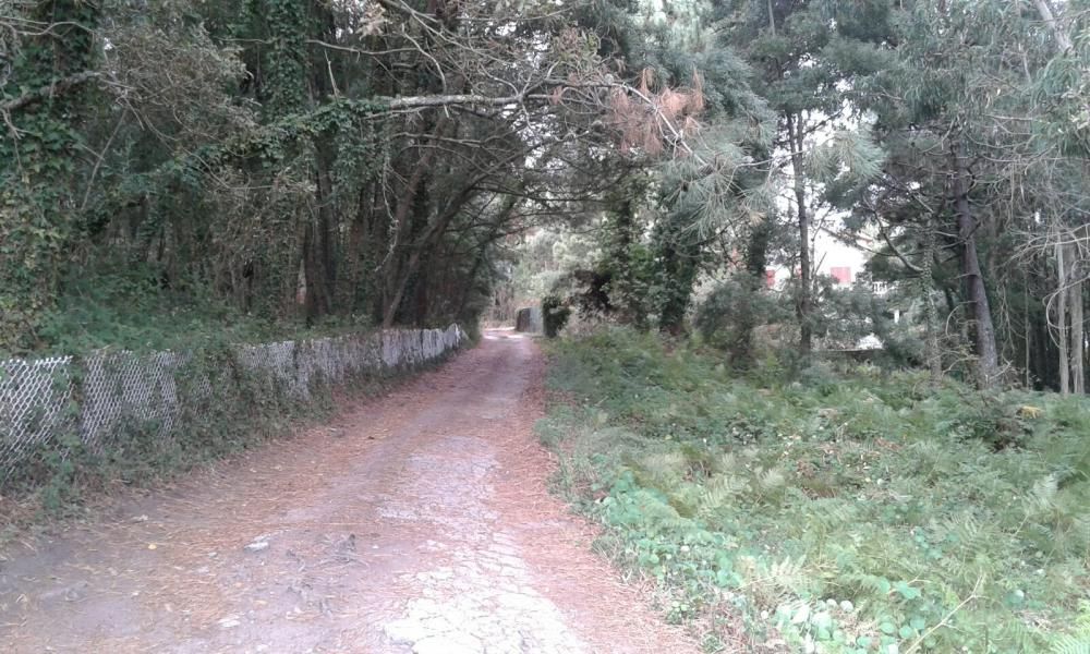 Un paseo por la belleza salvaje de Punta Couso