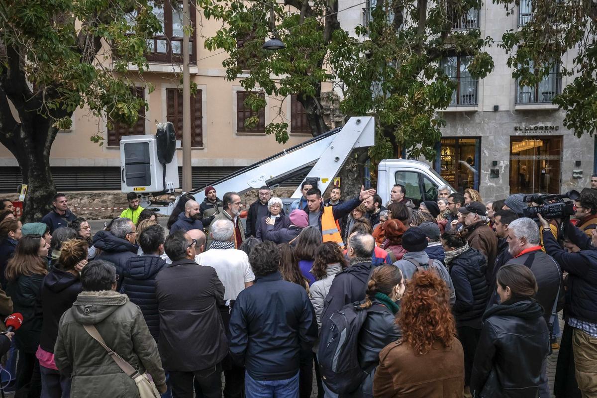 La tala de cinco ejemplares el año pasado provocó una protesta vecinal.