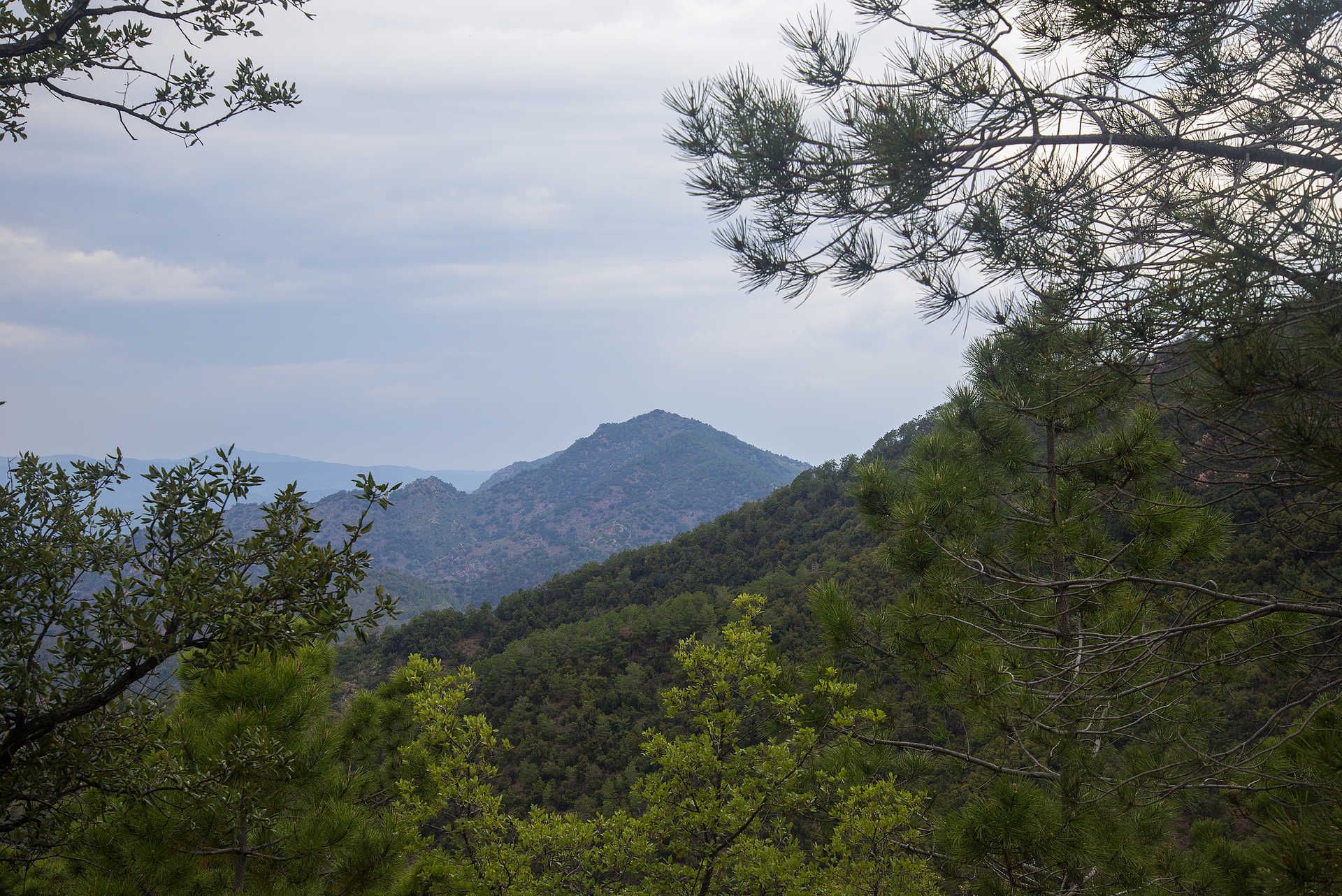 Parque natural de la Sierra de Espadán