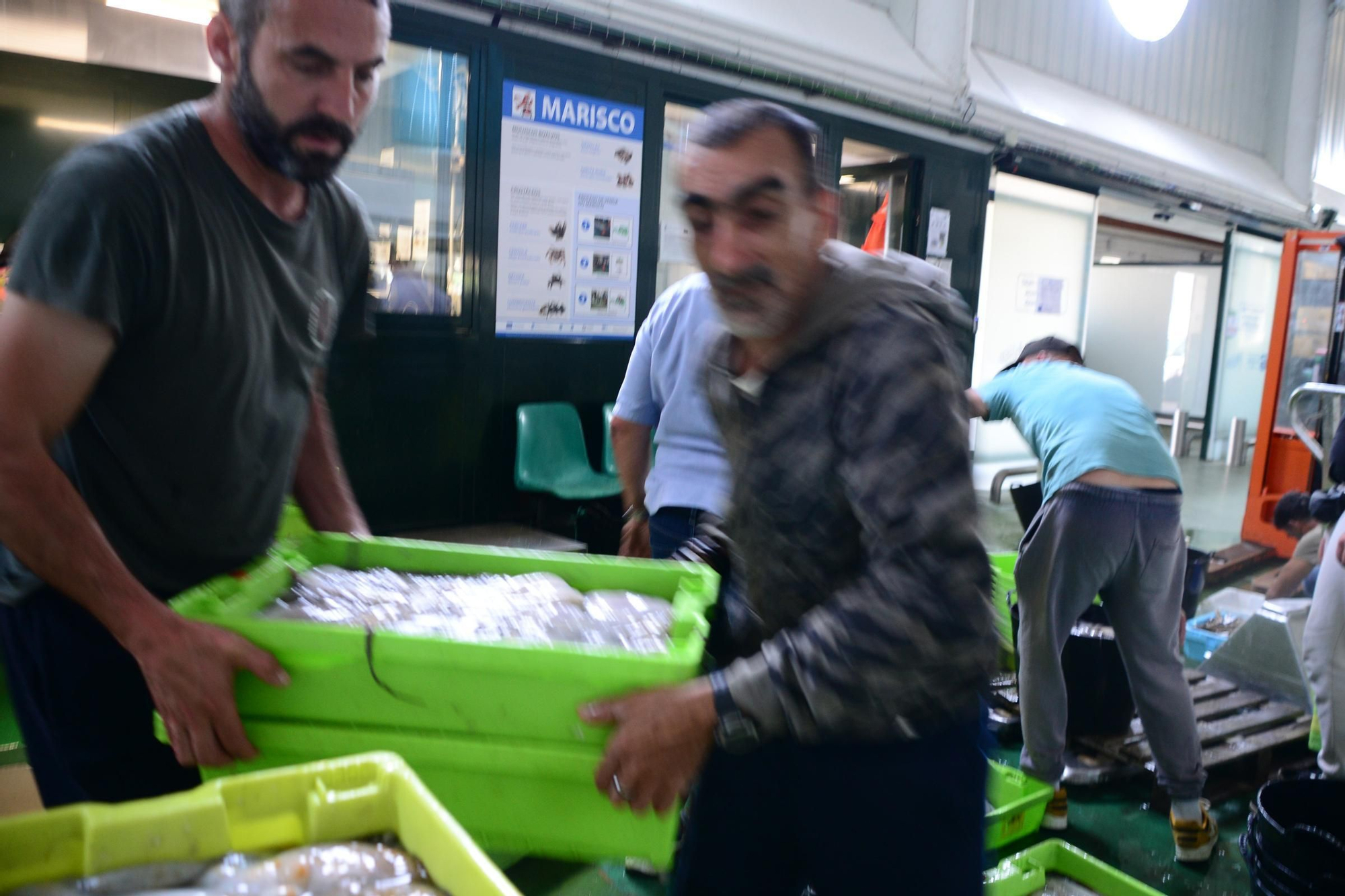 El inicio de la campaña del pulpo en el puerto de Bueu