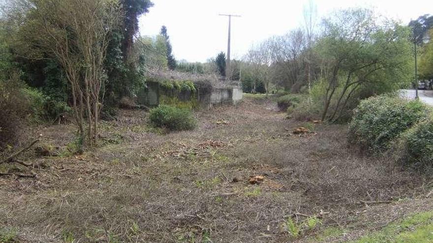 Zona donde se talaron los árboles, en Liáns.