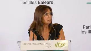 Vox, dispuesto a reconciliarse con el PP en Baleares: 'No venimos a boicotear a ningún gobierno'