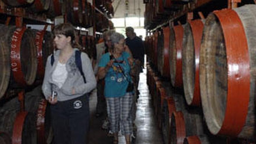 Turistas, el pasado viernes, en la bodega de Destilerías Arehucas, donde se almacenan 6.000 barricas de roble americano. i ANDRÉS CRUZ