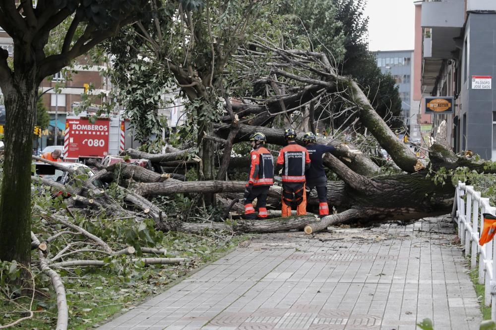 Daños por el temporal en Gijón.