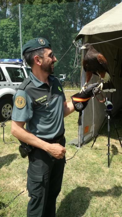 La Guardia Civil celebra el Día de los Animales