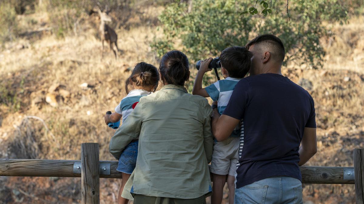 Las actividades permiten observación de fauna en su hábitat natural.