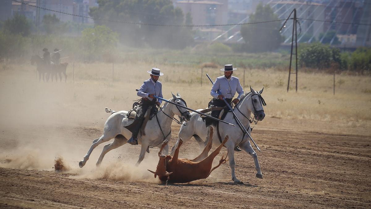 43 colleras se darán cita en el campeonato de España.