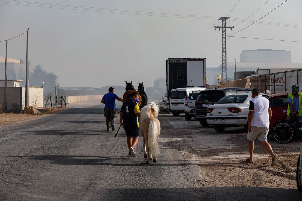 El incendio de la cuadra de caballo de Cartagena, en imágenes