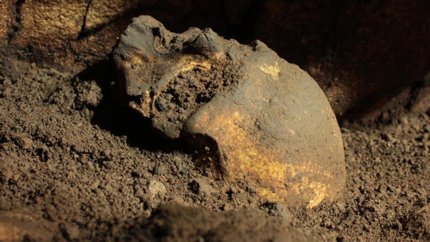 Descubren en Pedreguer un cráneo de hace 5.000 años