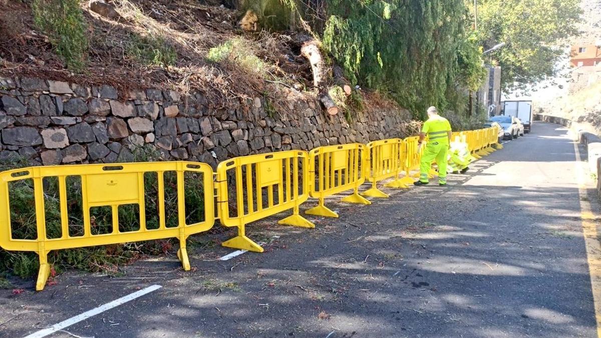 Zona afectada por la caída de un árbol en el camino de La Ermita.