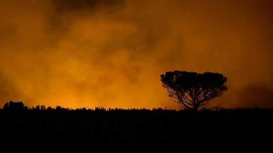 Máxima preocupación por el incendio que se aproxima al paraje de Sierra Calderona