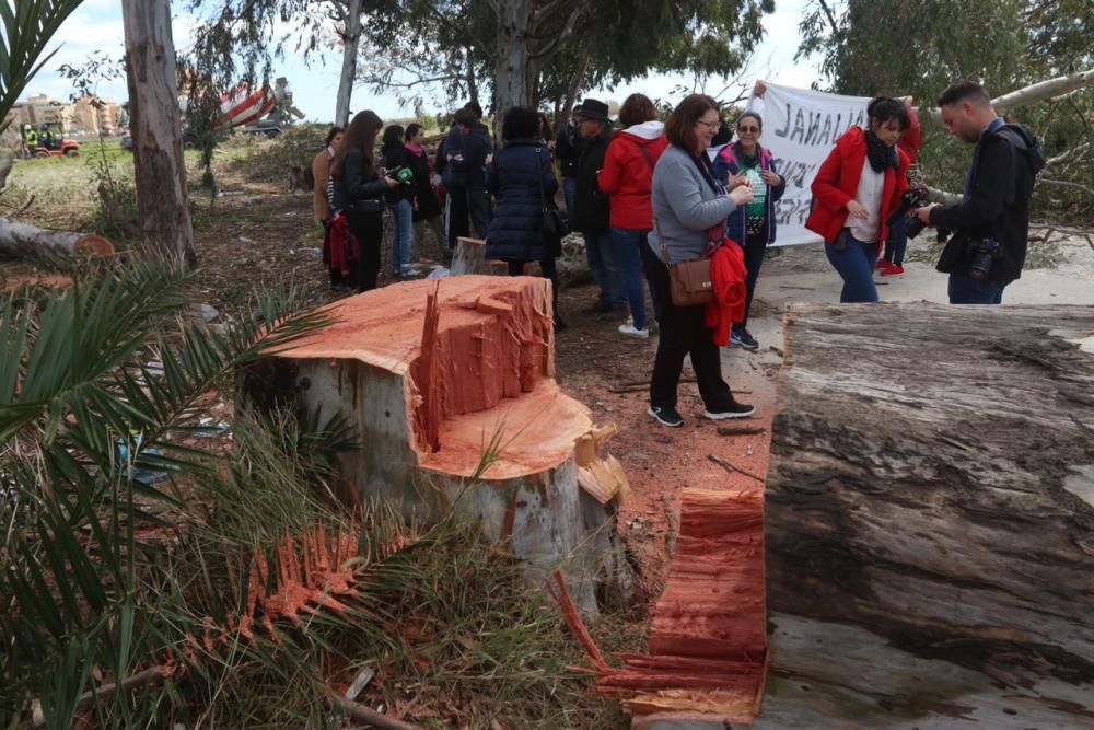 Protesta por la tala de árboles en Arraijanal