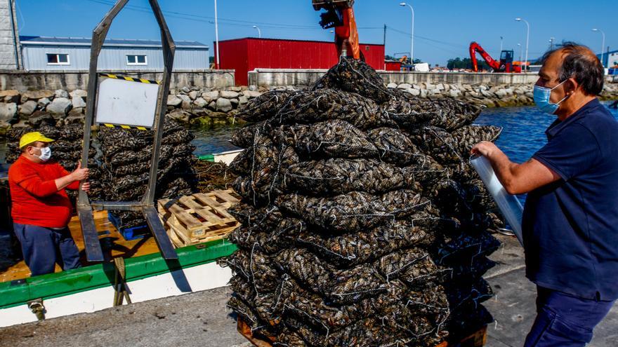 Italia y Francia no dejan de pedir &quot;oro negro&quot; de batea