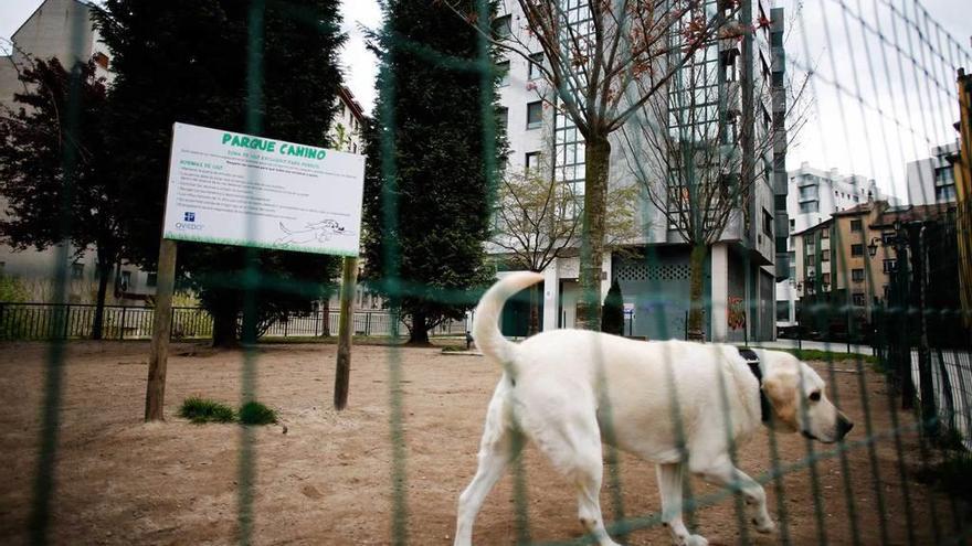 Un perro se pasea por el parque canino de la plaza Ana García, en una fotografía de archivo.