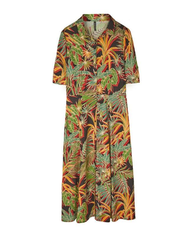 Tropical