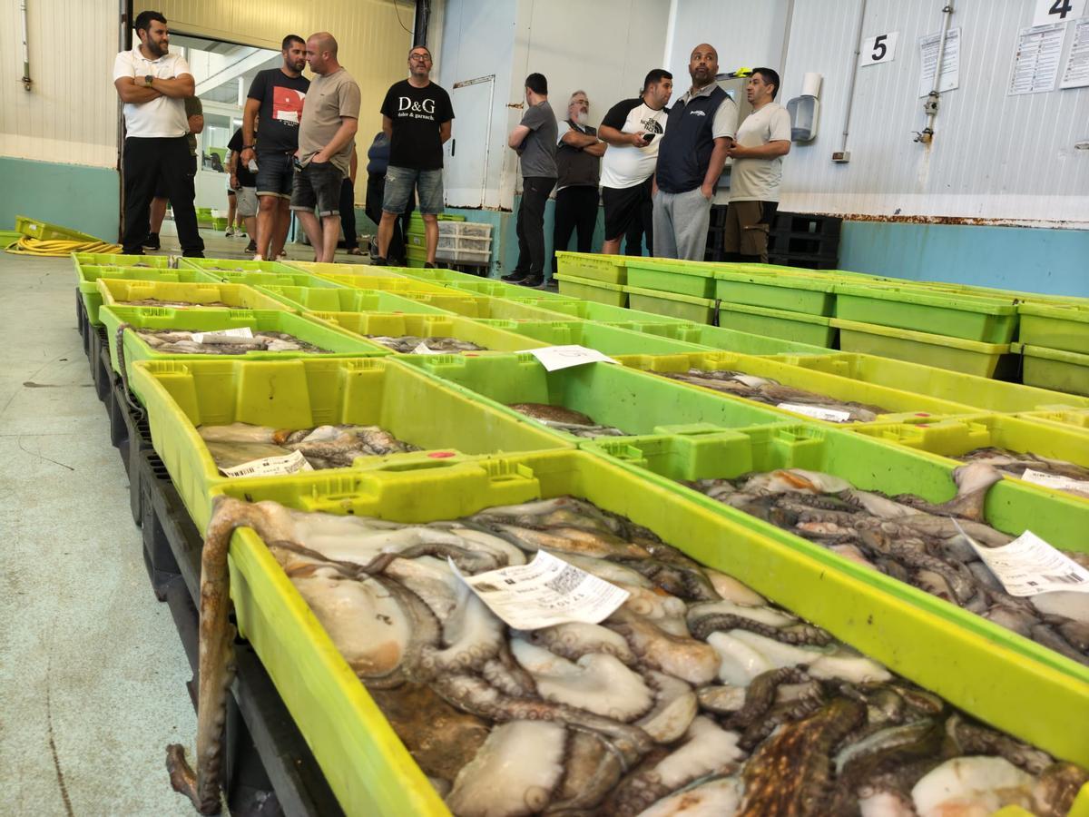 Primera subasta de pulpo de la nueva campaña en la lonja de Ribeira.