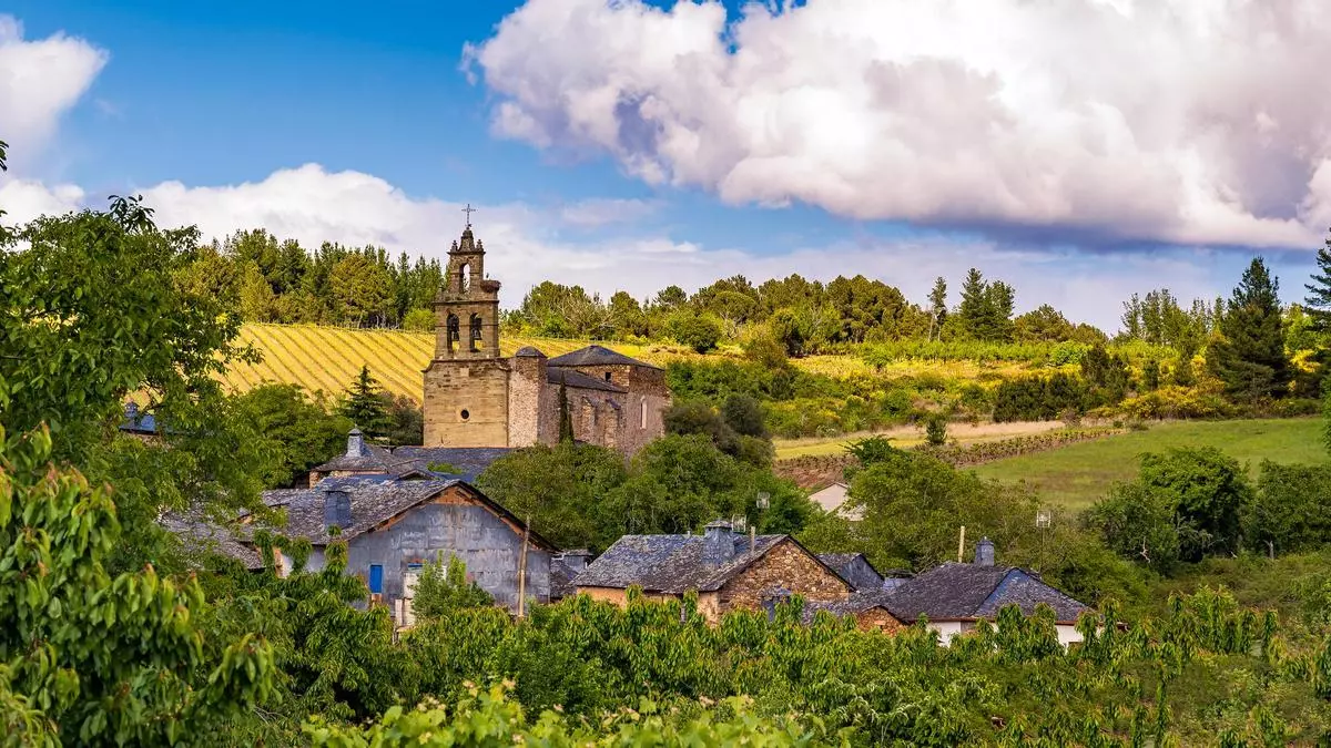 El mejor vino español para estas Navidades se hace en esta región castellana