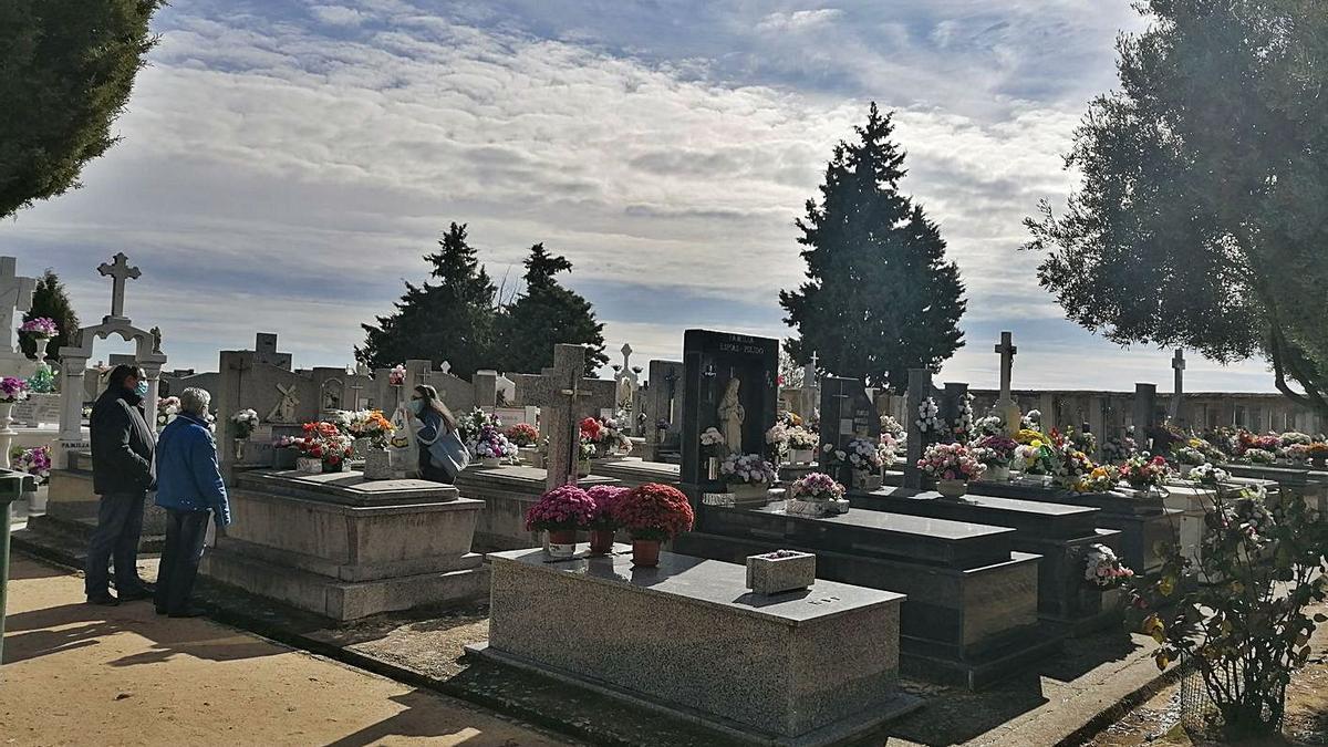 Vista del cementerio de Toro. | M. J. C.