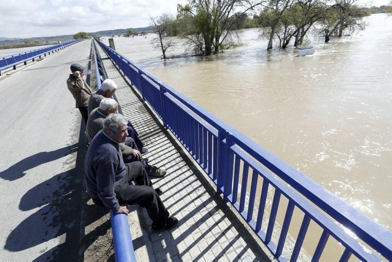 El año en la mirada de los fotógrafos de EL PERIÓDICO