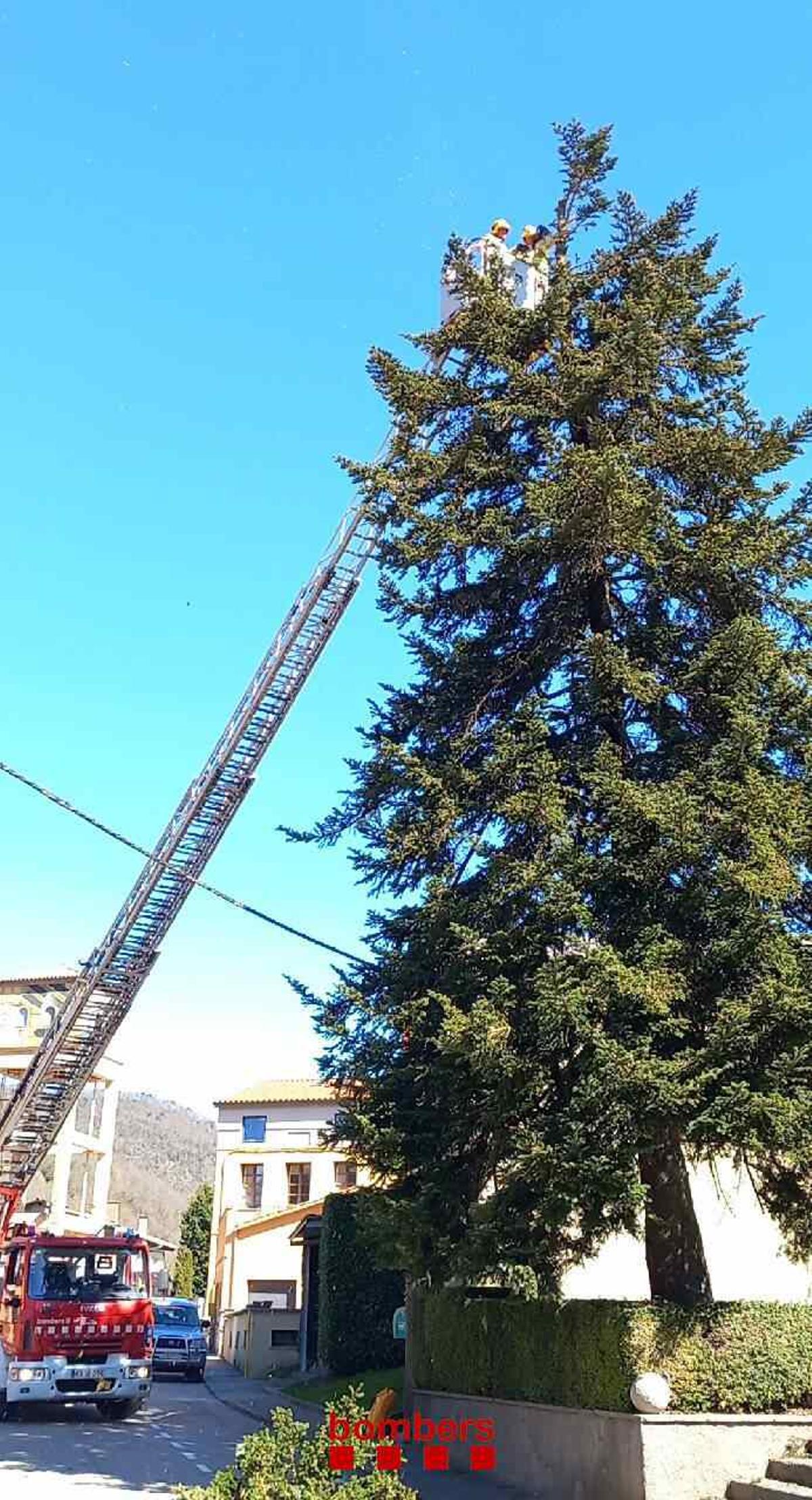 Les imatges dels efectes de la tramuntana a les comarques gironines