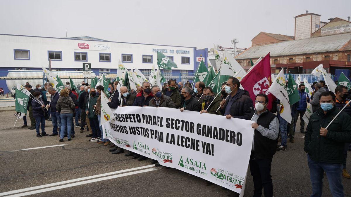 Protesta de los ganaderos de vacuno de leche en Zamora