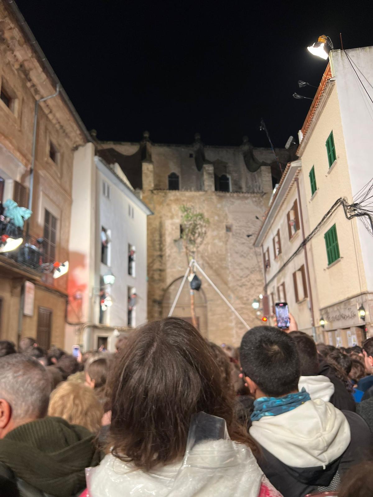 FOTOS | Pi de Sant Antoni de Pollença