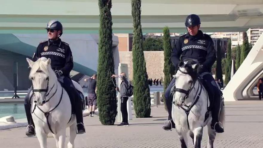 Así es y actúa la caballería de la Policía Local de València