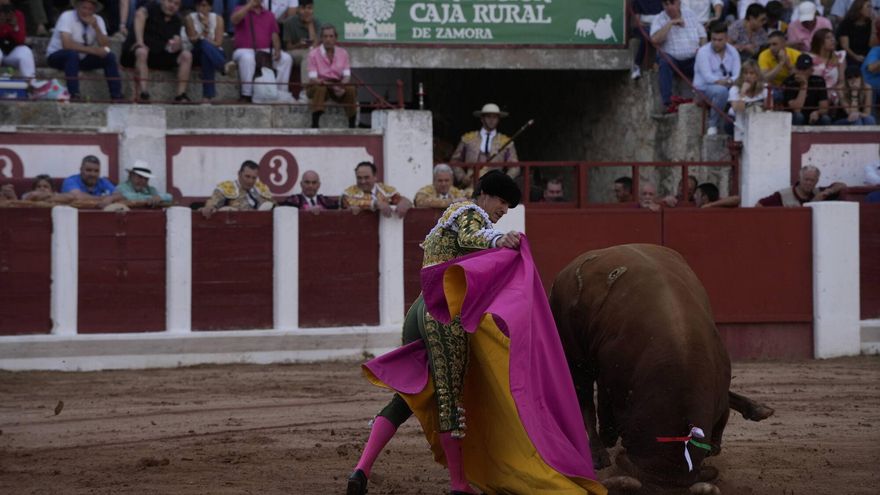 Una fundación critica las promociones taurinas para menores en Zamora