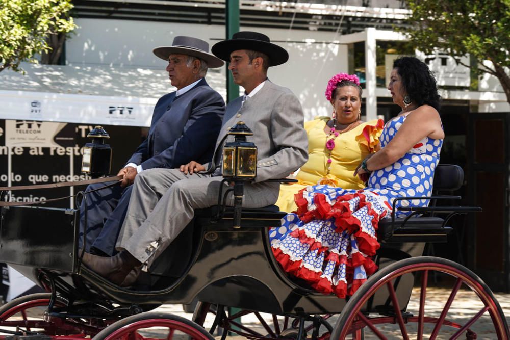 Primeros caballos en el Cortijo de Torres