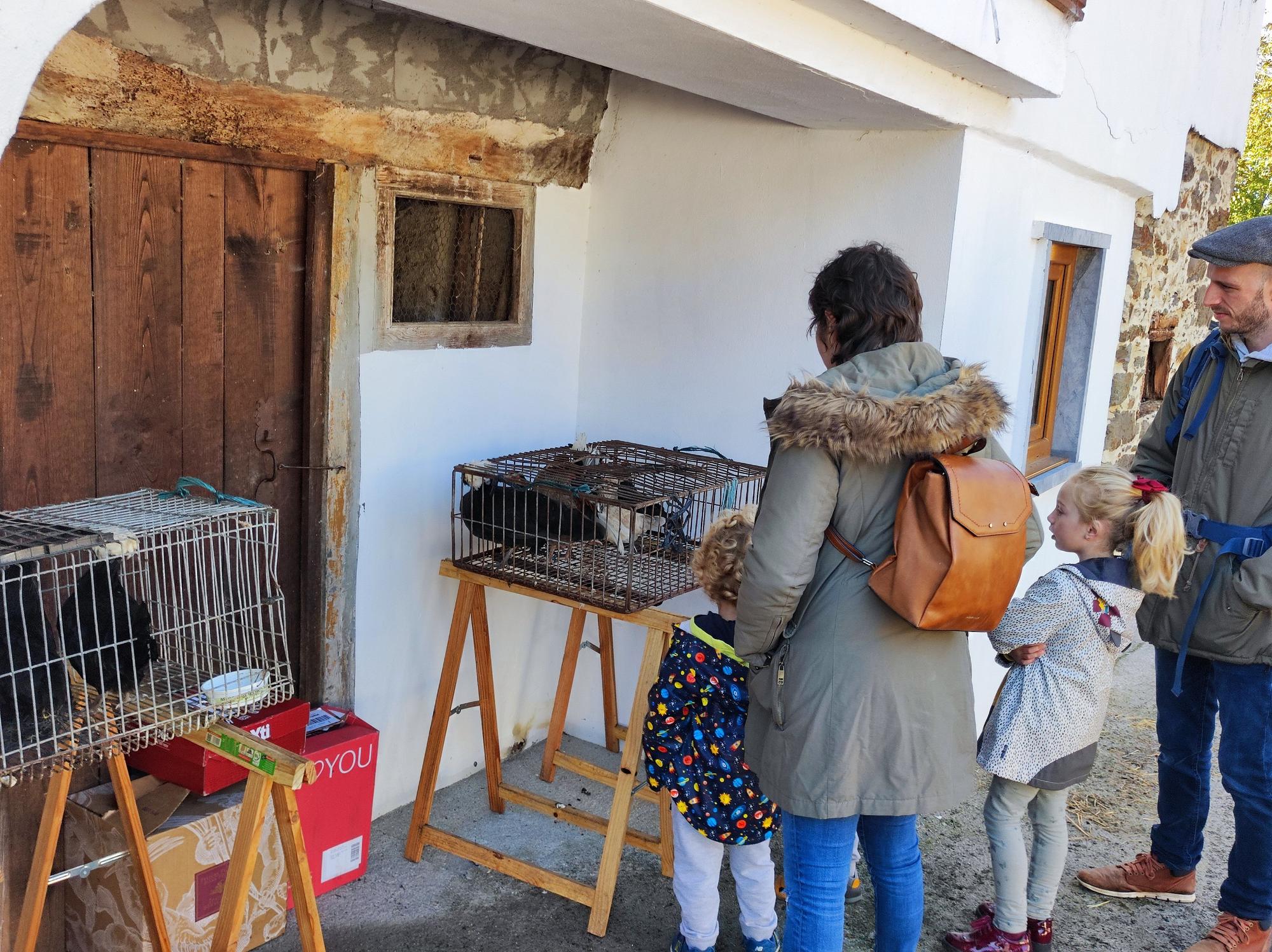 Buen ambiente en la polavilla de Villartorey, en Villayón