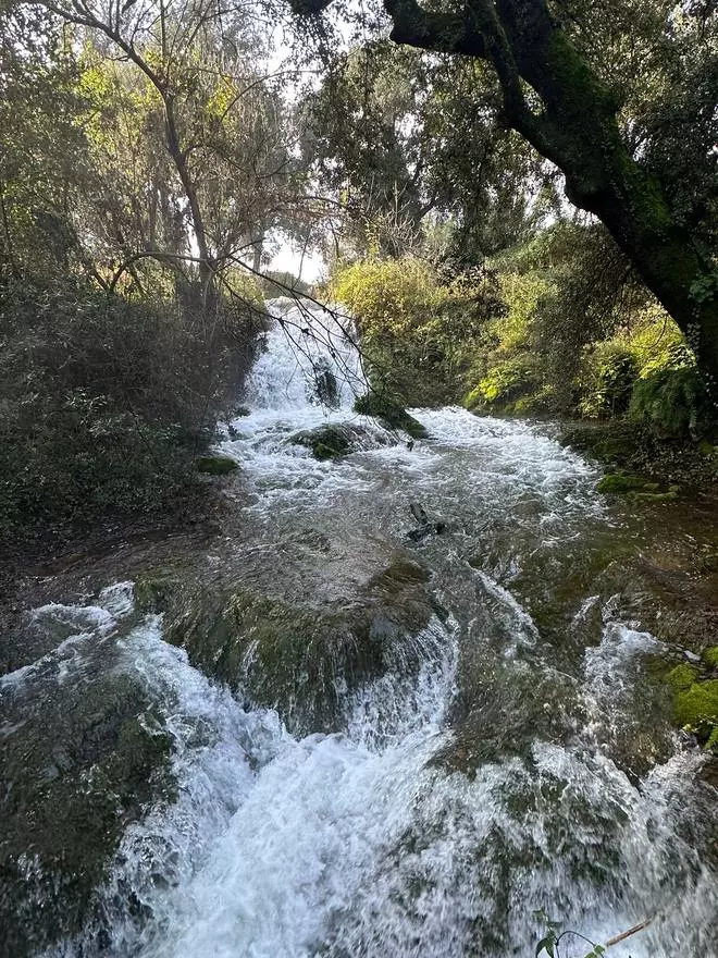 Les fotos del salt de Martís a Esponellà