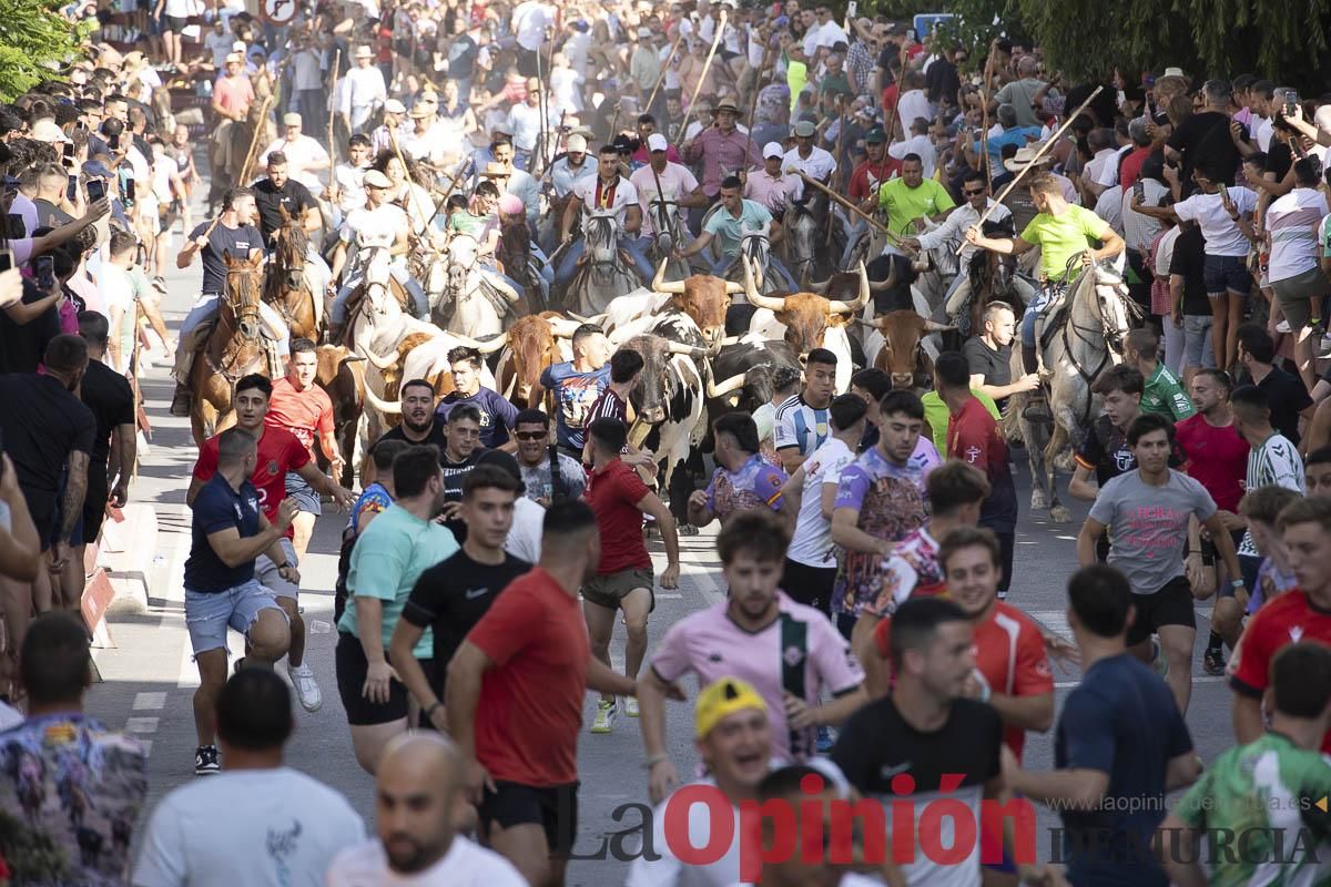 El segundo encierro de las Fiestas de Moratalla se salda con un herido