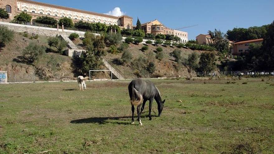 Imagen del Seminario de Málaga.