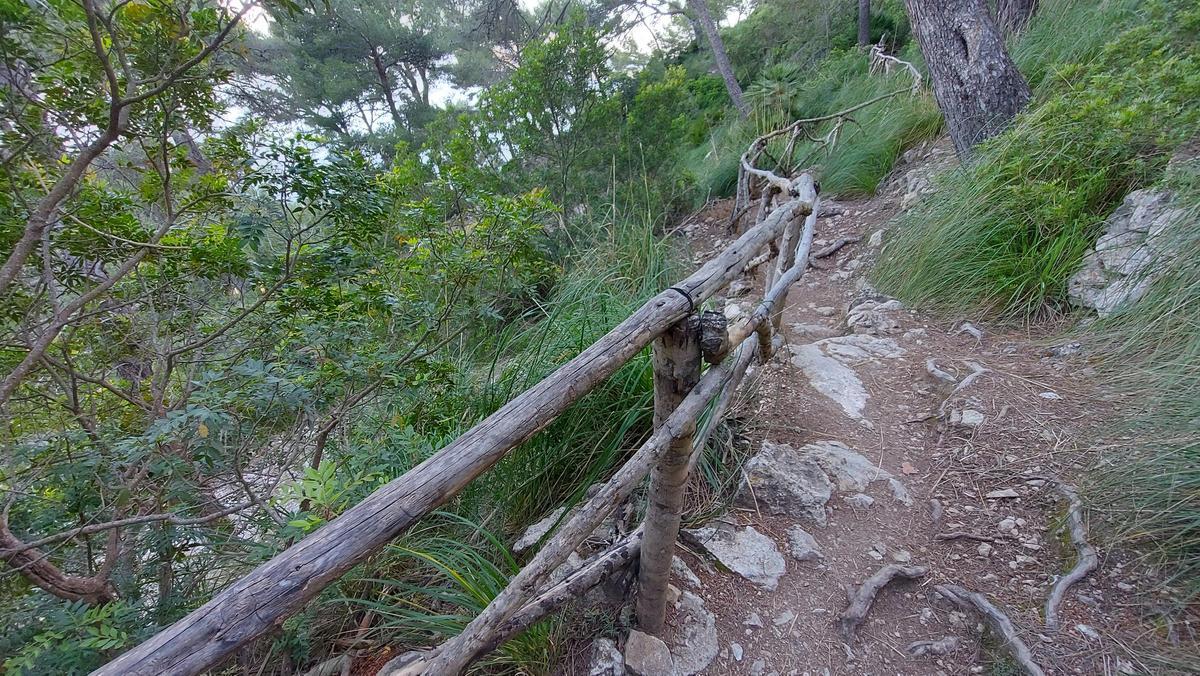 Die Route führt weiter über einen Fahrweg und nach einer Abzweigung über einen idyllischen Waldpfad.