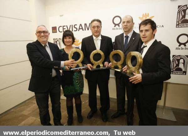 GALERÍA DE FOTOS - Entrega de los  Premios Alfa de Cevisama 2014