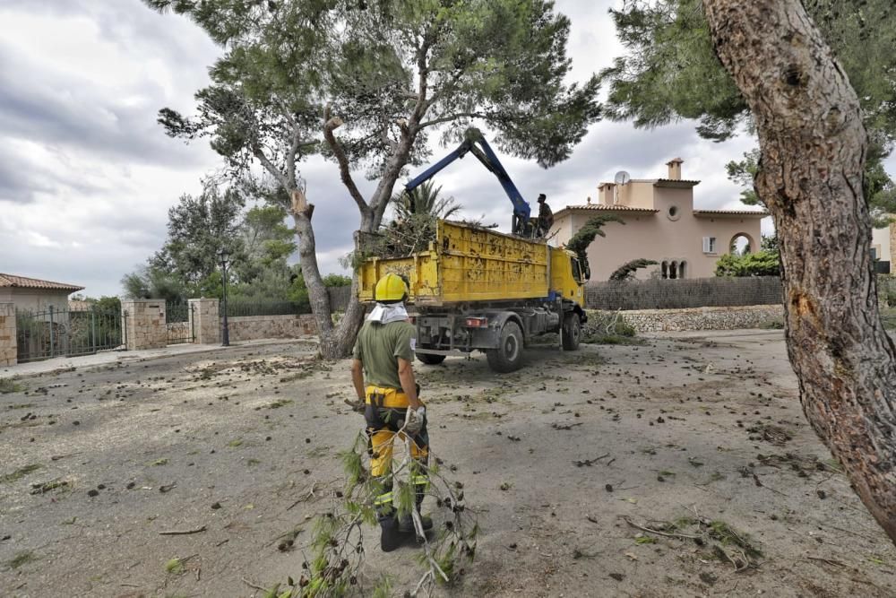 Nach Unwetter: Mallorca räumt auf