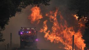 12 November 2019, Australia, Coffs Harbour: A fire truck passes by a bushfire near Nana Glen. Photo: Dan Peled/AAP/dpa