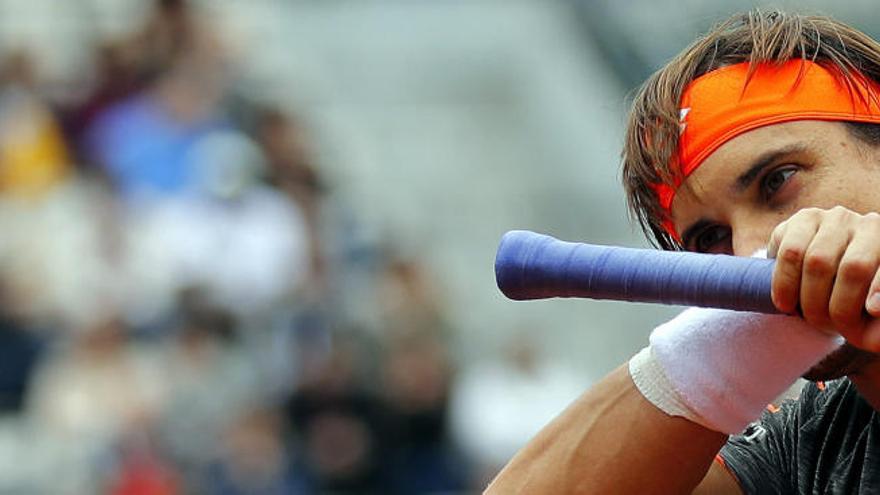 David Ferrer