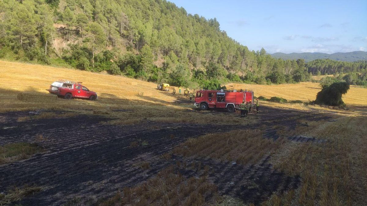 El camp de rostolls cremat a Clariana