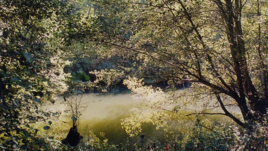 Aguilar de Tera, estratégico balcón asomado a la vega del río Tera