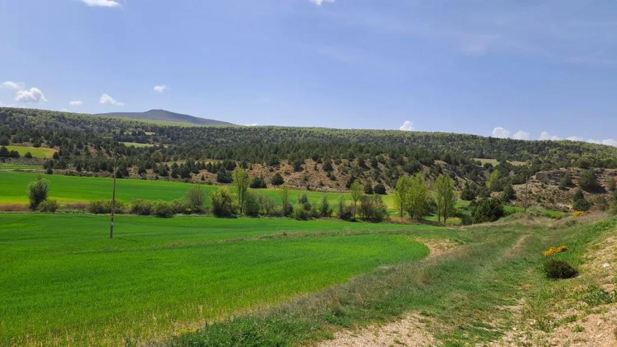 Valle del Mesa, en la zona afectada
