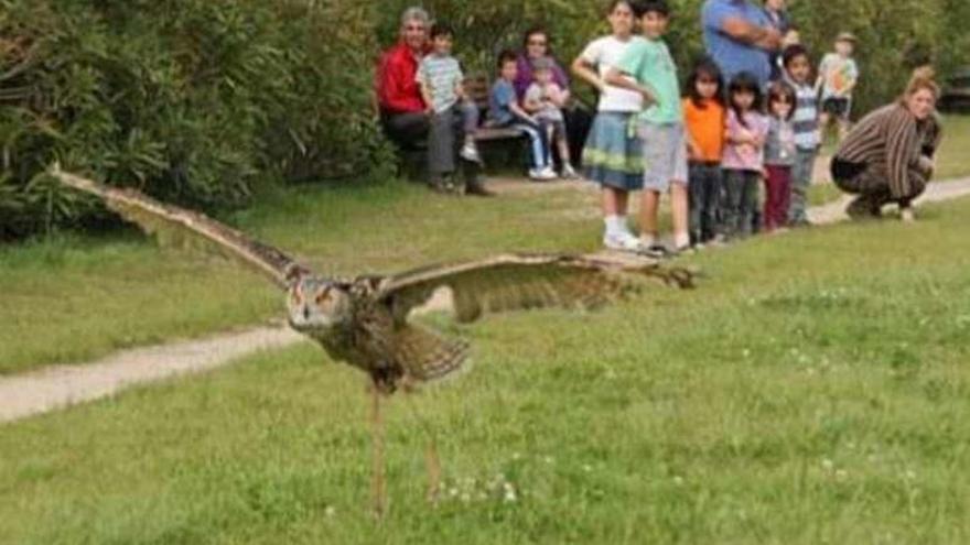 Una de las actividades realizadas por la asociación Aprofauna.  // FdV