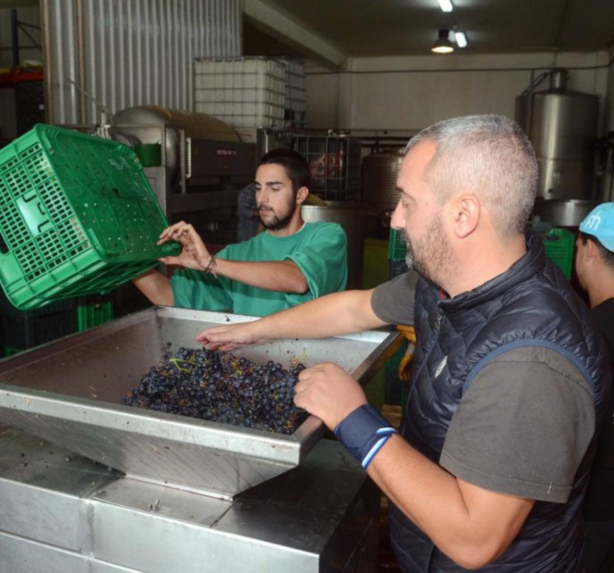 Bodega Forjas del Salnés. |  Noé Parga