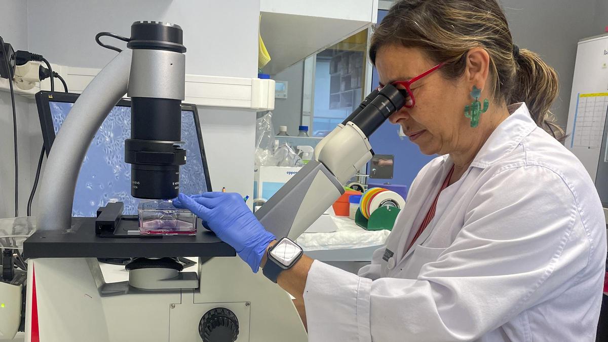 Una doctora en Biología revisa células tumorales en el laboratorio de un centro hospitalario.