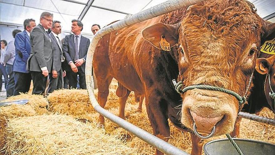 Feria agroganadera Se cumplen 25 años