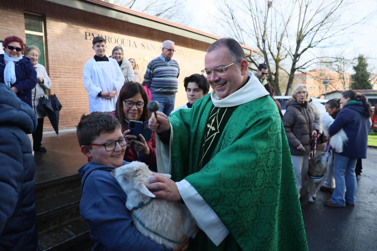 La bendición de animales en La Magdalena, en imágenes