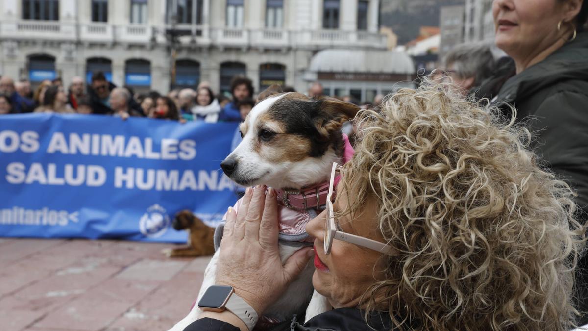 VÍDEO: Los veterinarios salen a la calle a protestar en contra del control de fármaco