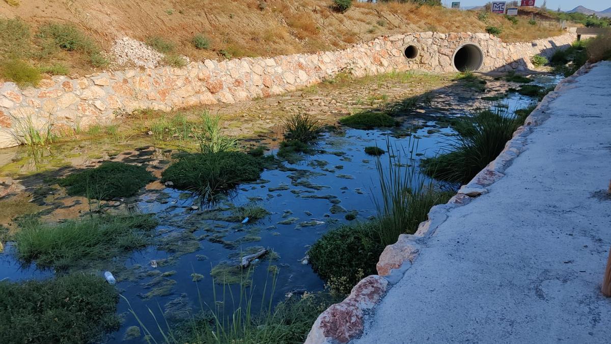 El arroyo de la Rebanadilla se encuentra en una situación insalubre.